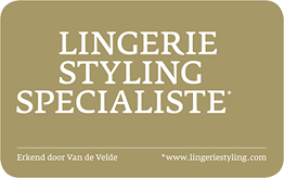 Lingerie Styling Specialist